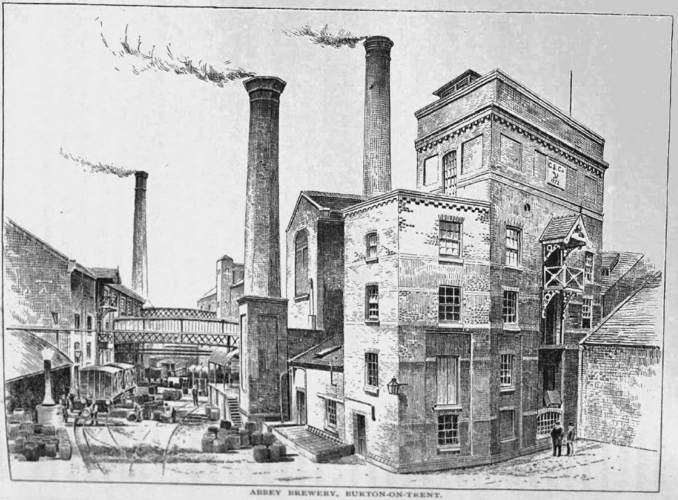 Why Modern IPAs Taste Like Juice: History, Hacks, and Best Buys at Hopology