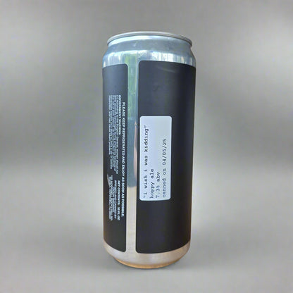 I Wish I Was Kidding